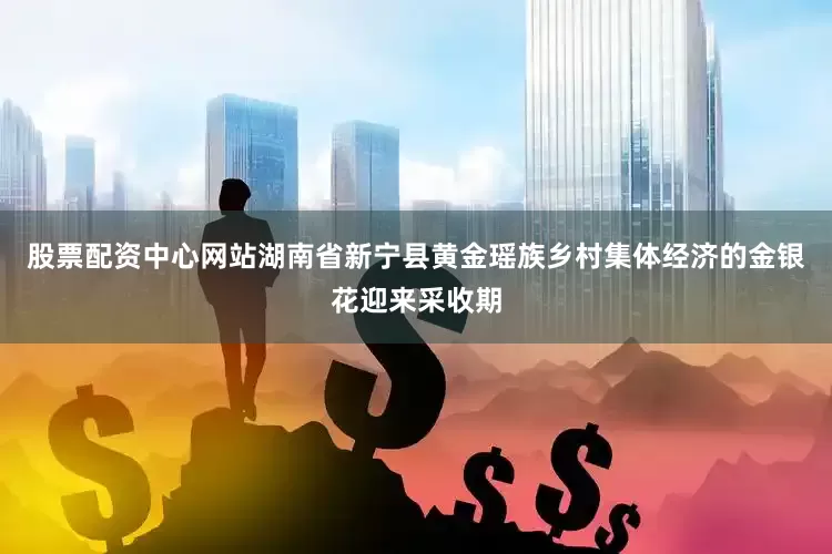 股票配资中心网站湖南省新宁县黄金瑶族乡村集体经济的金银花迎来采收期