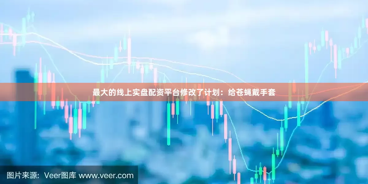 最大的线上实盘配资平台修改了计划：给苍蝇戴手套